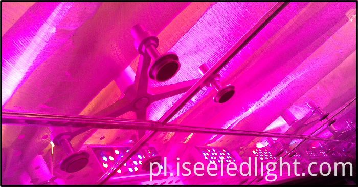 24V Światło powodziowe 24V Flood Light